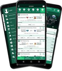 Ultimate Guide to Betwinner République Démocratique du Congo