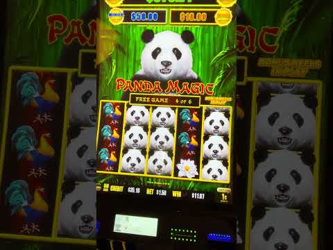 Discover the Exciting World of Casino Spinpanda UK 24 Discover the Exciting World of Casino Spinpanda UK 24