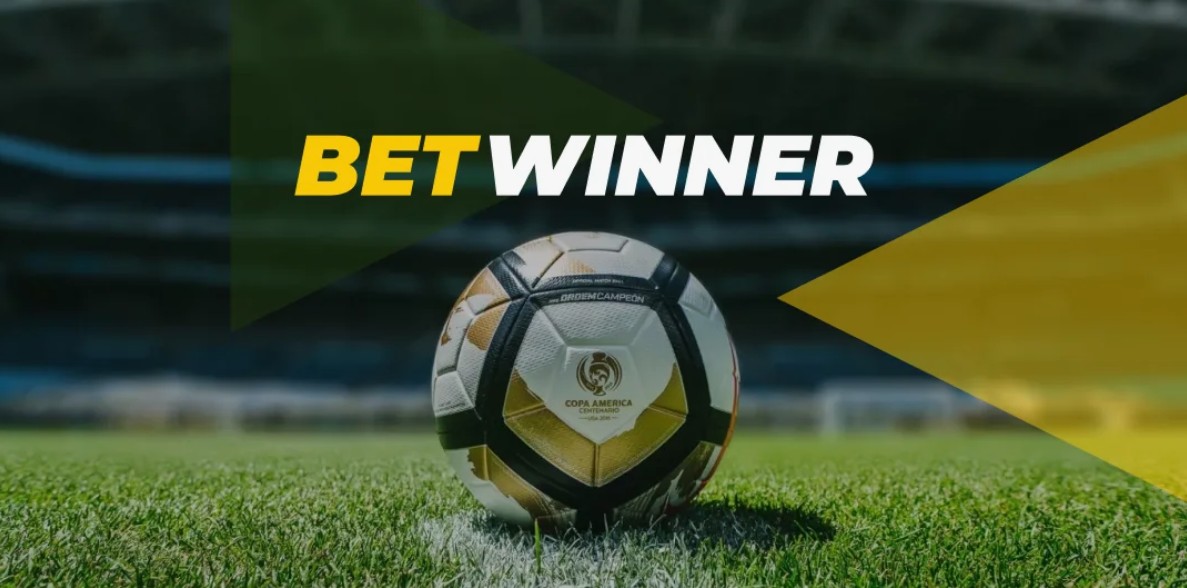 Everything You Need to Know About Betwinner Deposit 13