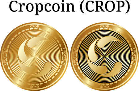 2023년 최신 트렌드 코인카지노의 모든 것